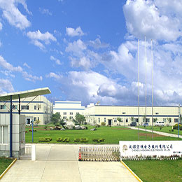 天行（中国）股份有限公司