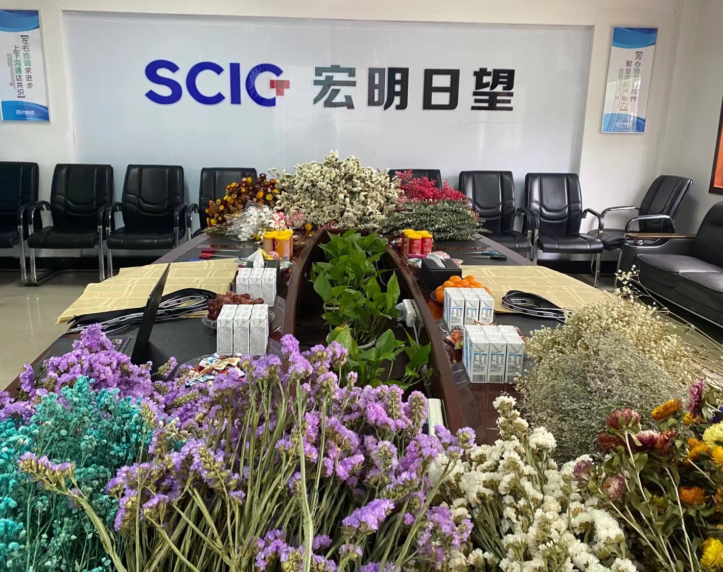 天行在线注册,宏明日望,株洲电子科技,湖南电容器,株洲电容器,电容器